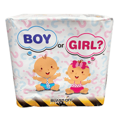 BOY OR GIRL FINALE CAKE